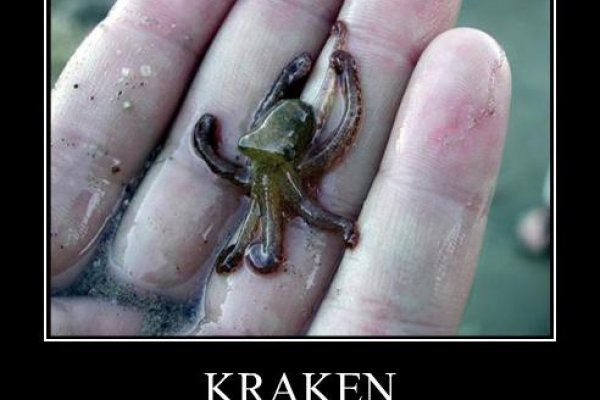 Kraken dark market